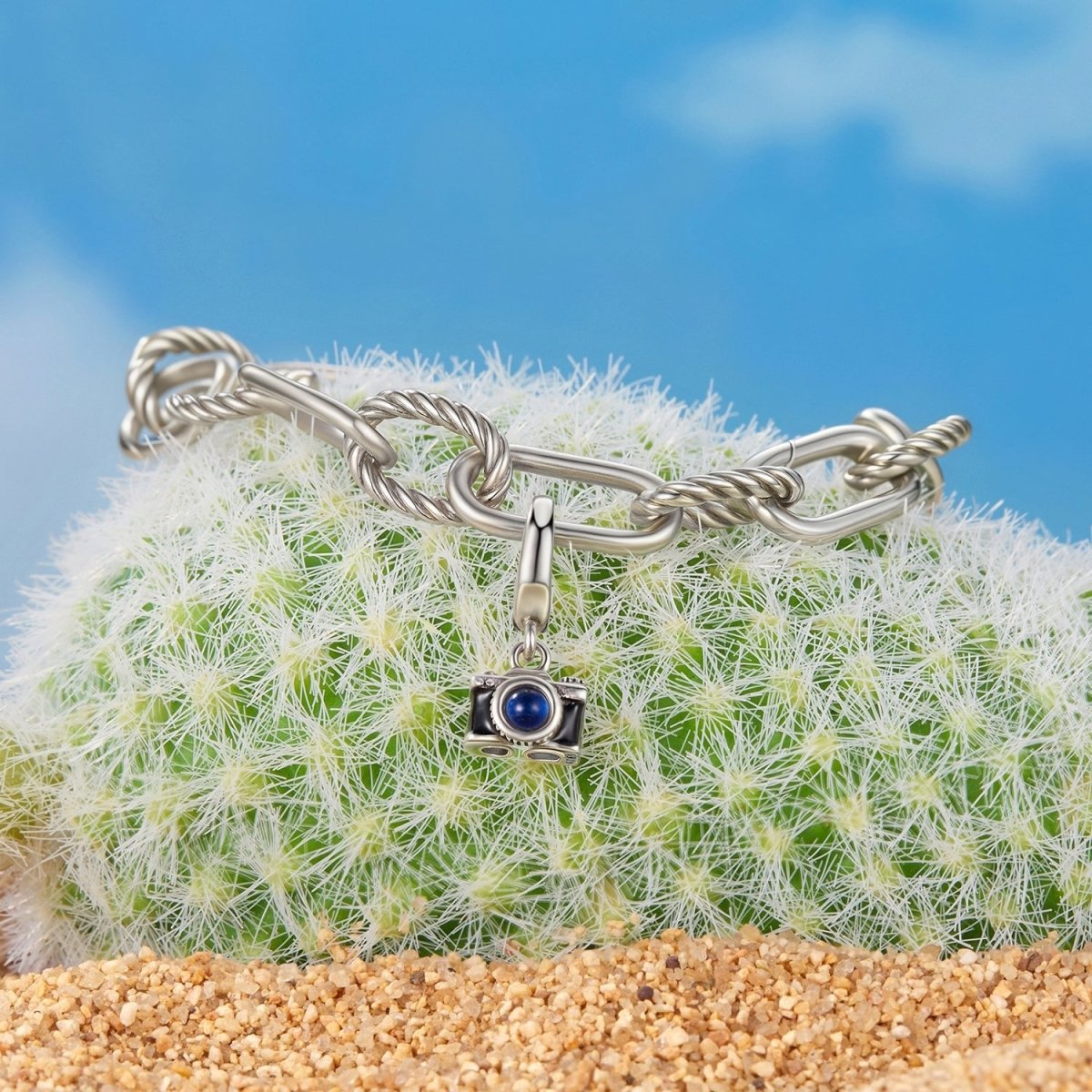 Camera Dangle Charm