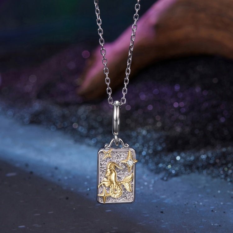 Gold & Silver Astrology Signs Zodiac Constellation Charms