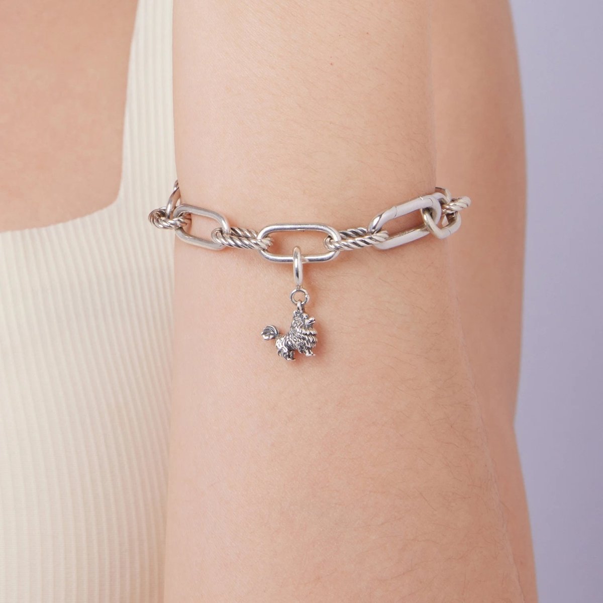 Pomeranian Dog Dangle Charm